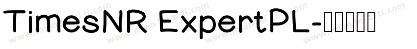 TimesNR ExpertPL字体转换